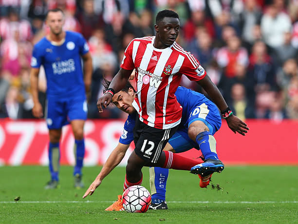 供了极大的 供了极大的